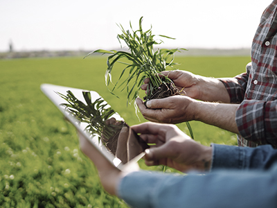 home_proyectos_conexiones2030_uatae